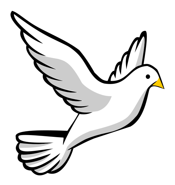 Doves symbols columbidae.