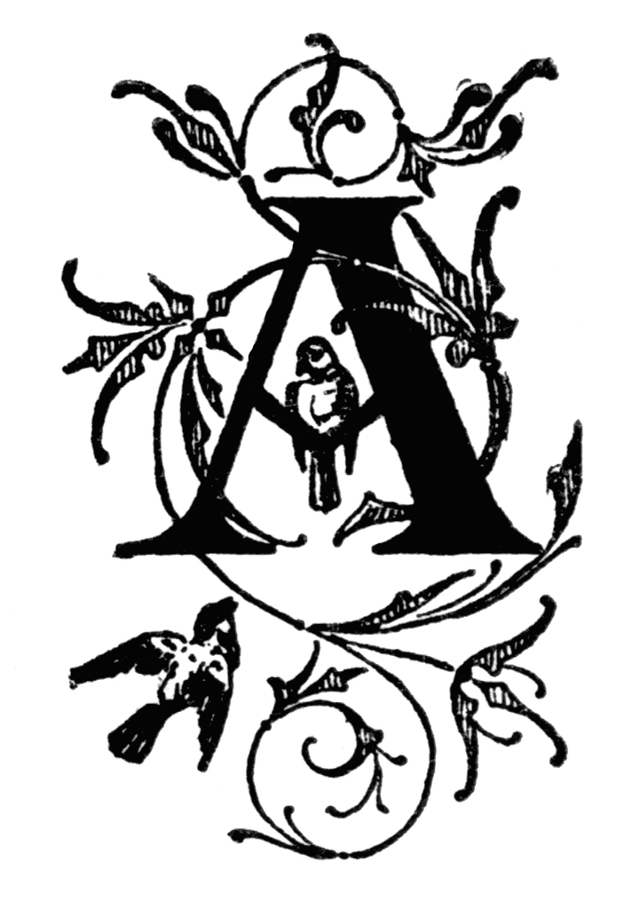 A, Ornate initial