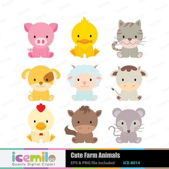 Baby farm animals.