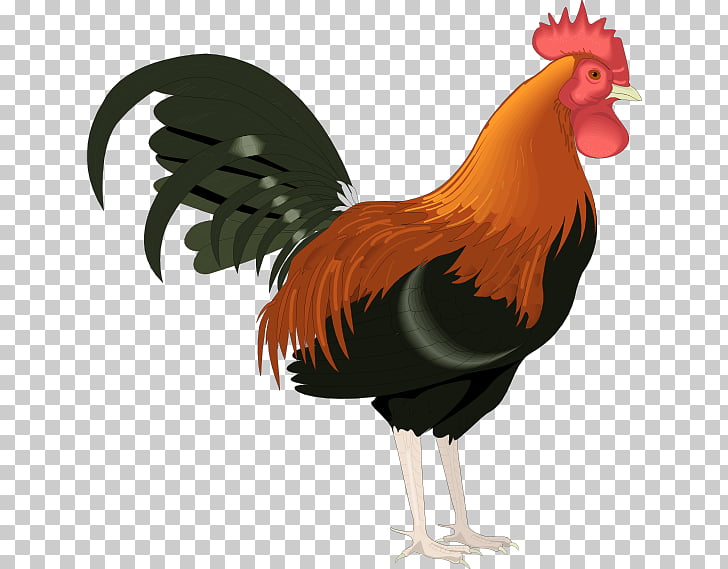 Rooster Chicken , Free Farm Animal PNG clipart