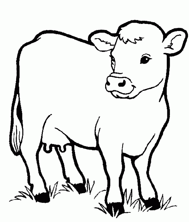 Download Little Cow Preschool Coloring Pages Farm Animals Or