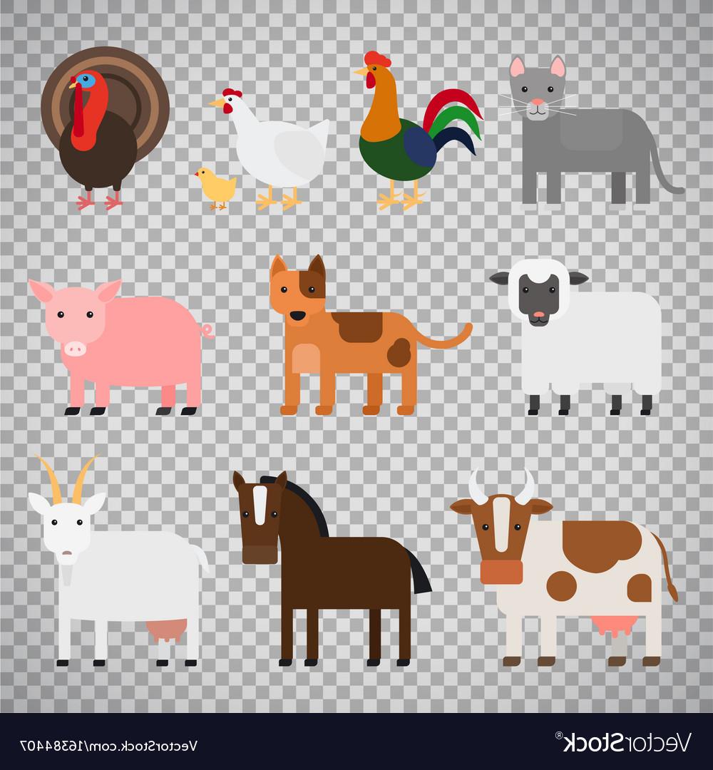 Best Farm Animal Graphics Design