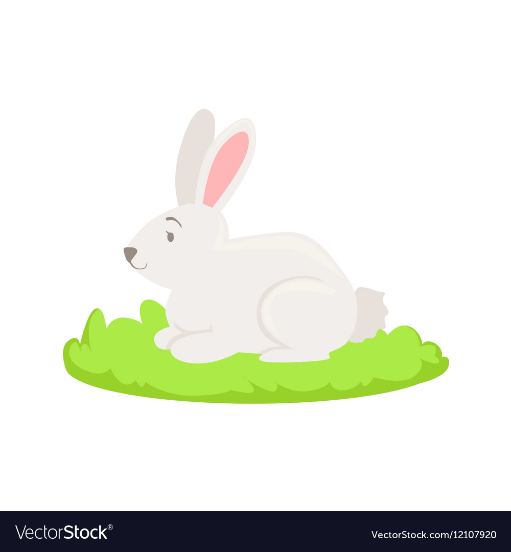 Rabbit farm animal.