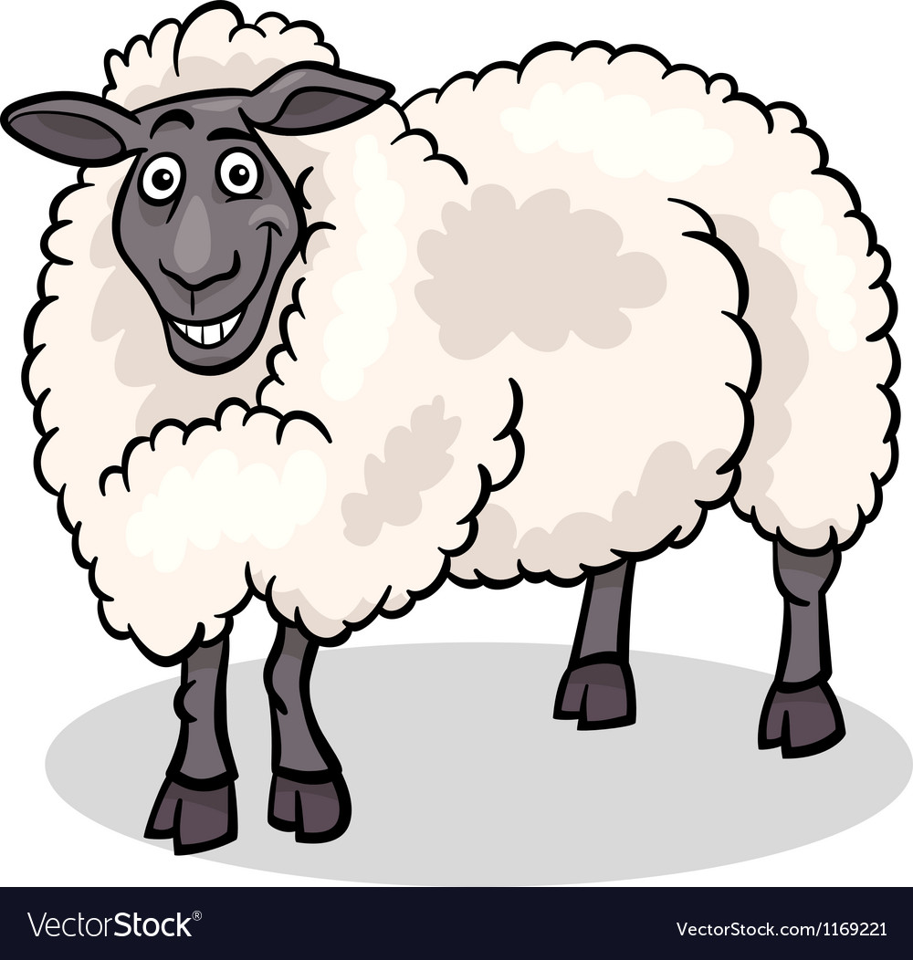 Sheep farm animal.