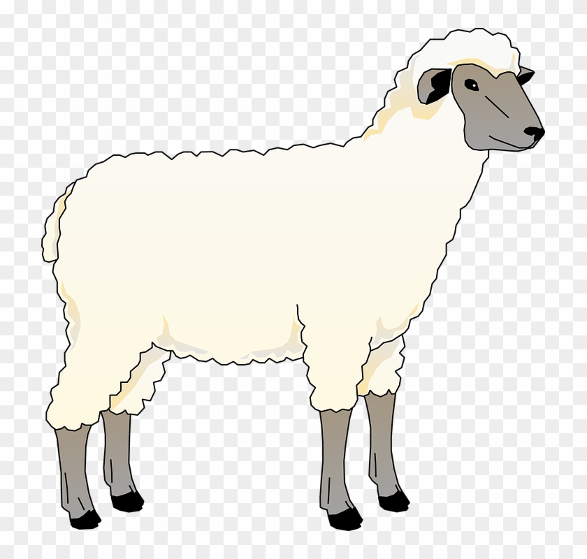 Farm Animals Sheep Clipart