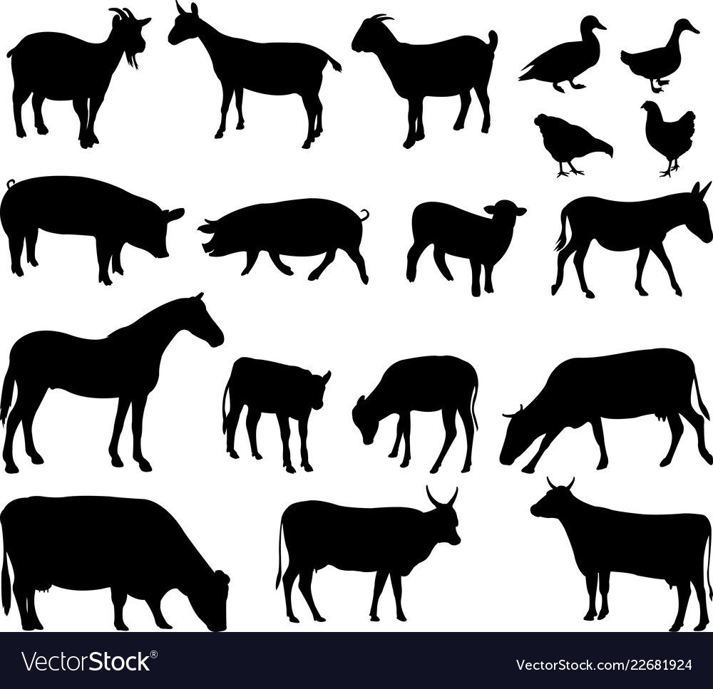 Farm animals silhouettes.