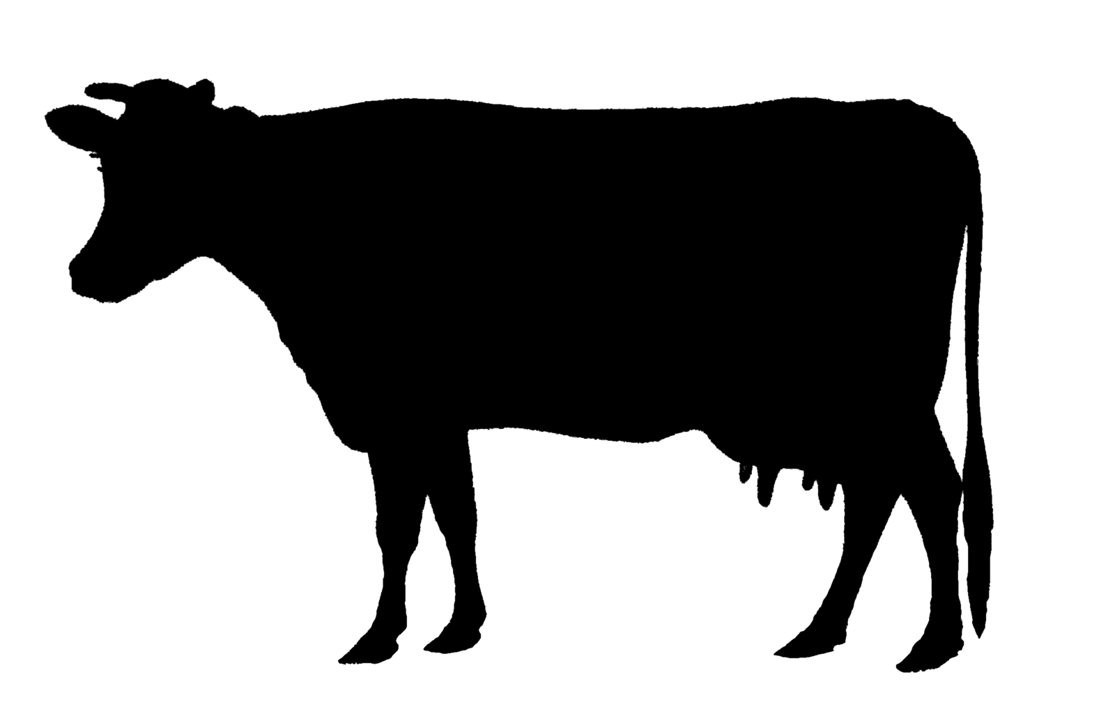 Holstein Friesian cattle Animal Silhouettes Calf Beef cattle