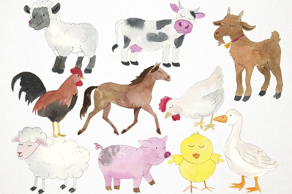 Watercolor Farm Clipart, Farm Animals Clip Art, Farm Clip