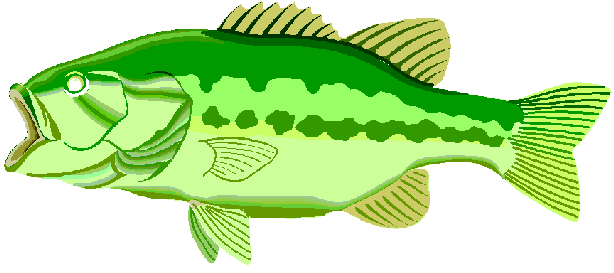 Jumping Bass Fish Clip Art