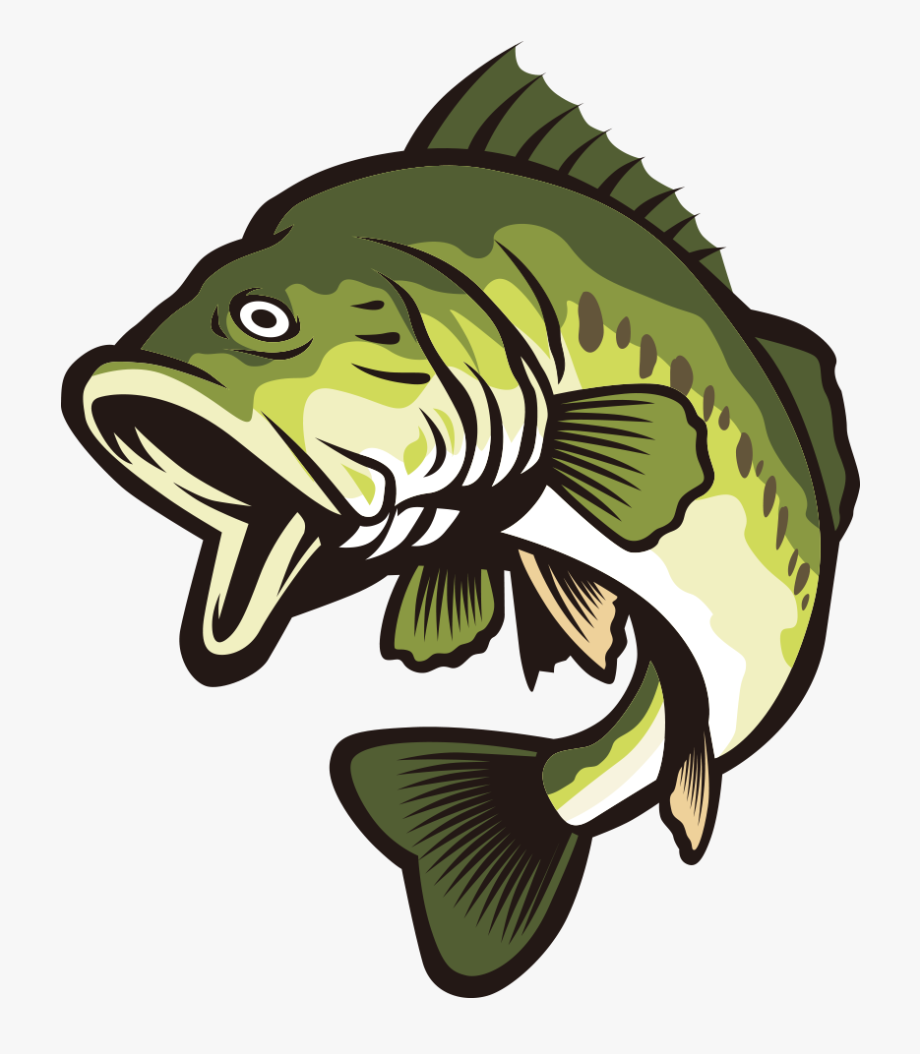 Bass Vector Fish