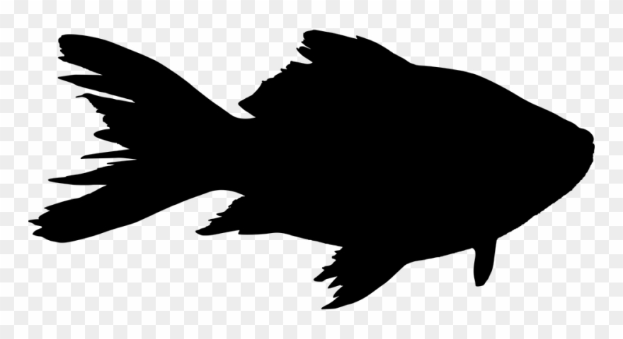 clipart fish silhouette