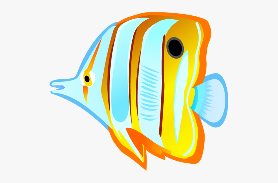 Fish clip art.