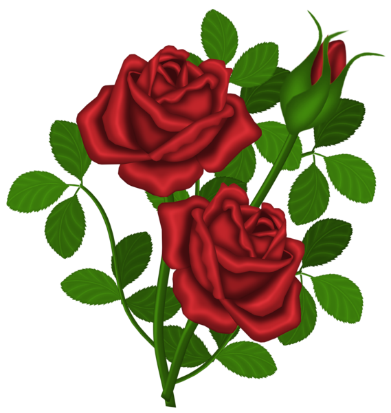 Red roses clipart.