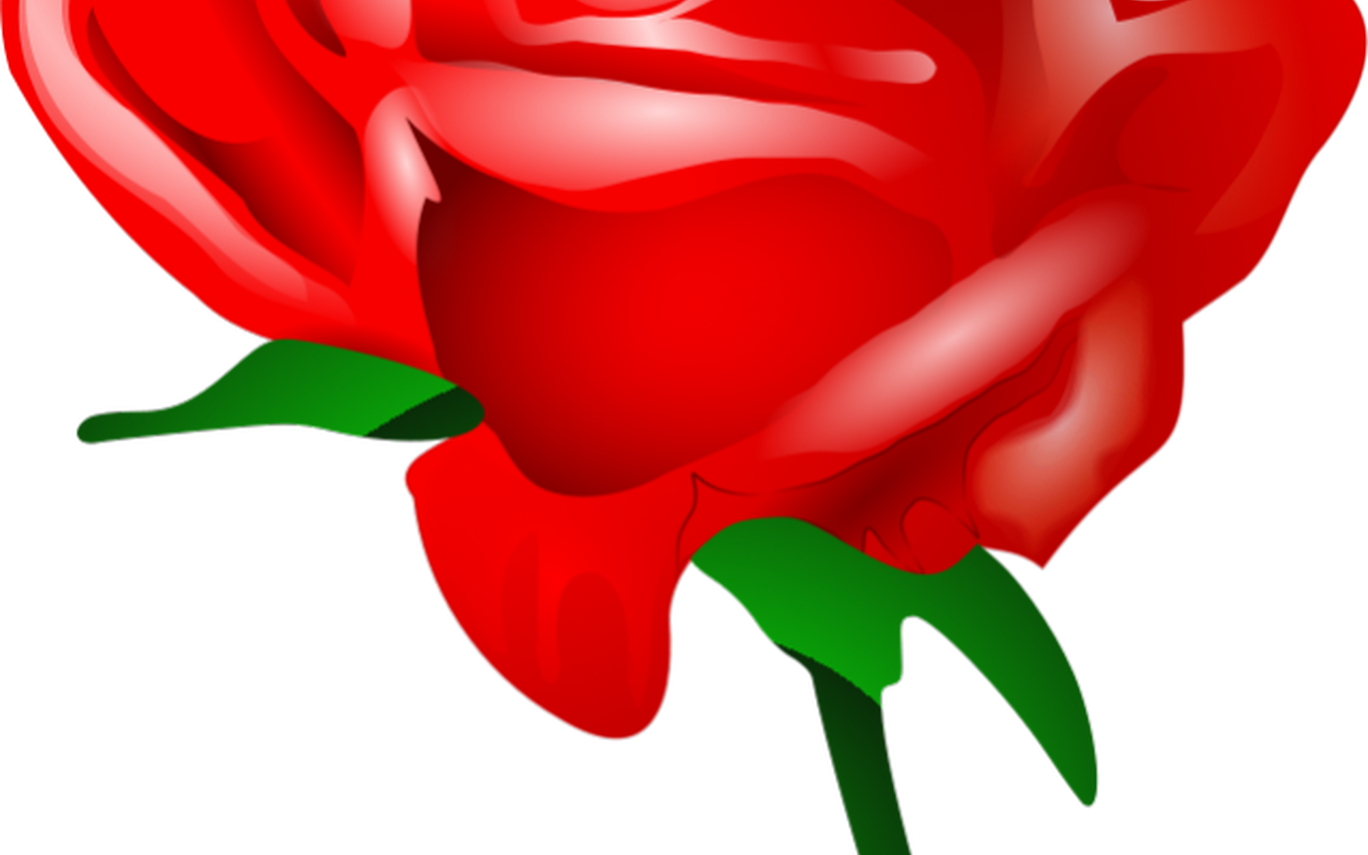 clipart flor vermelha rosa
