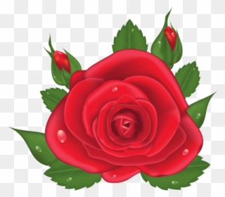 Free PNG Rose Plant Clip Art Download