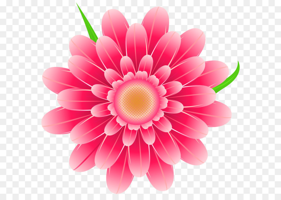 Watercolor Pink Flowers png download