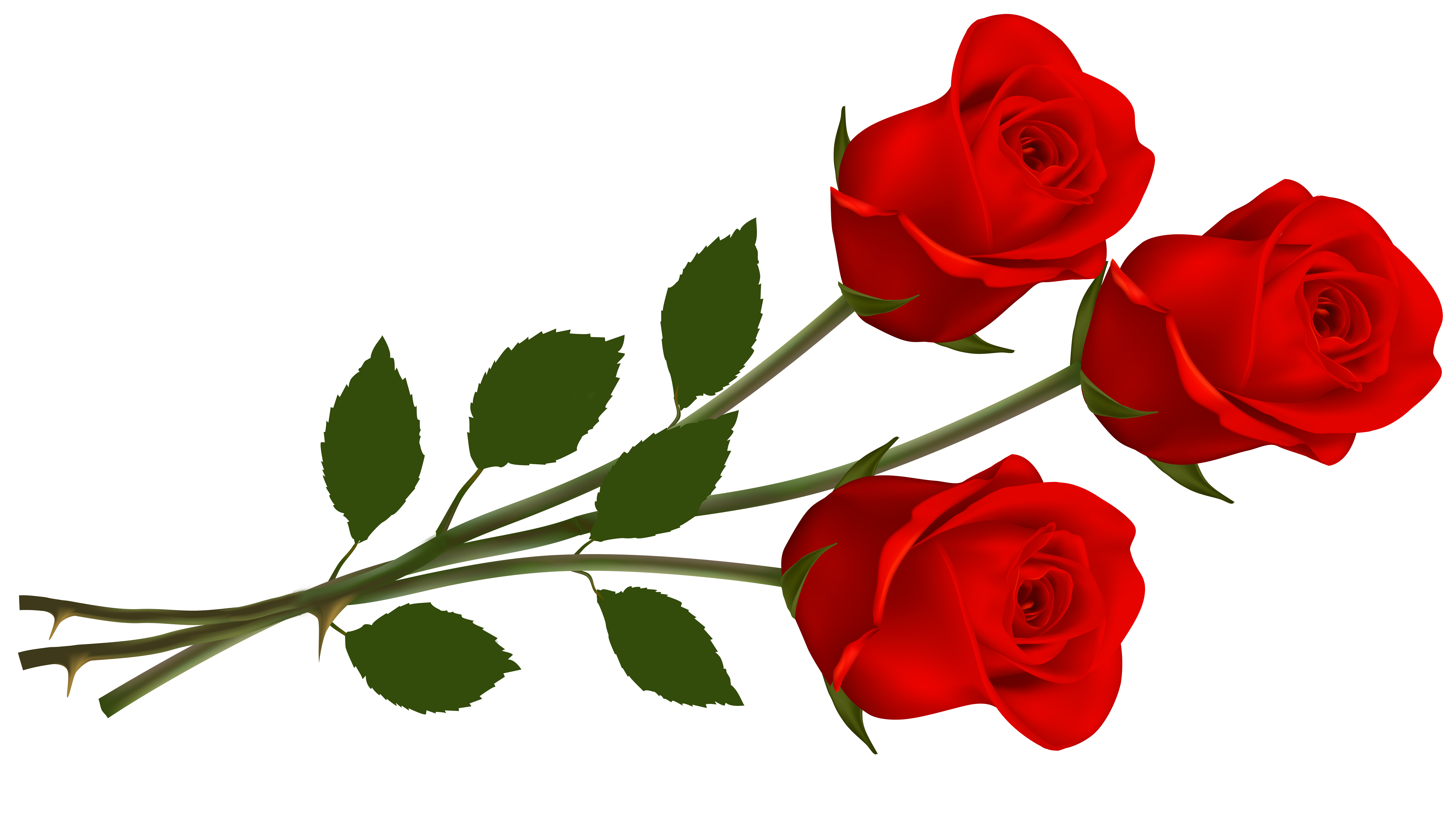 Clip Art Red Rose