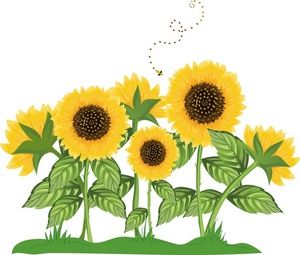 Sunflower Border Clip Art