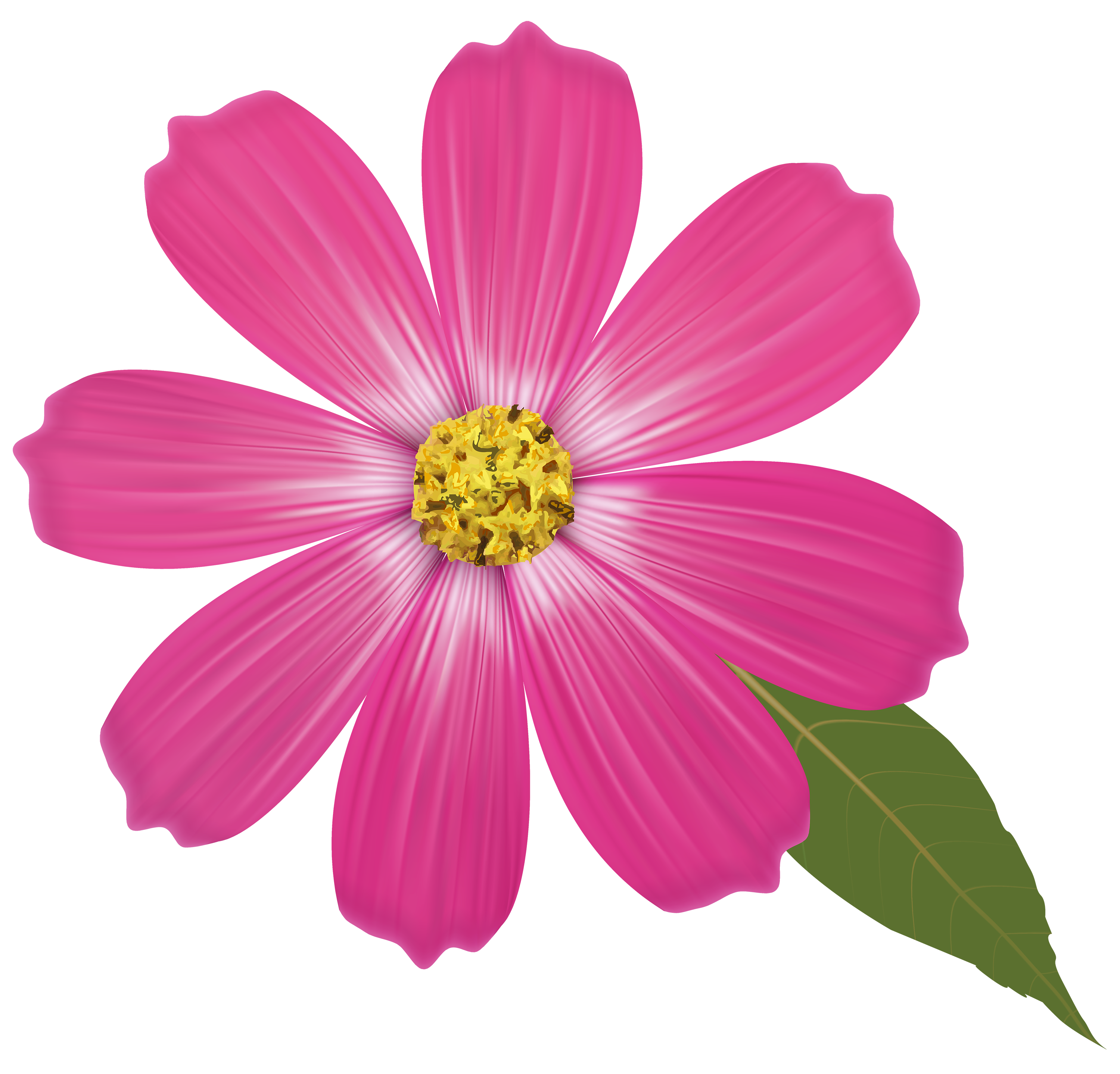 Pink flowers Clip art