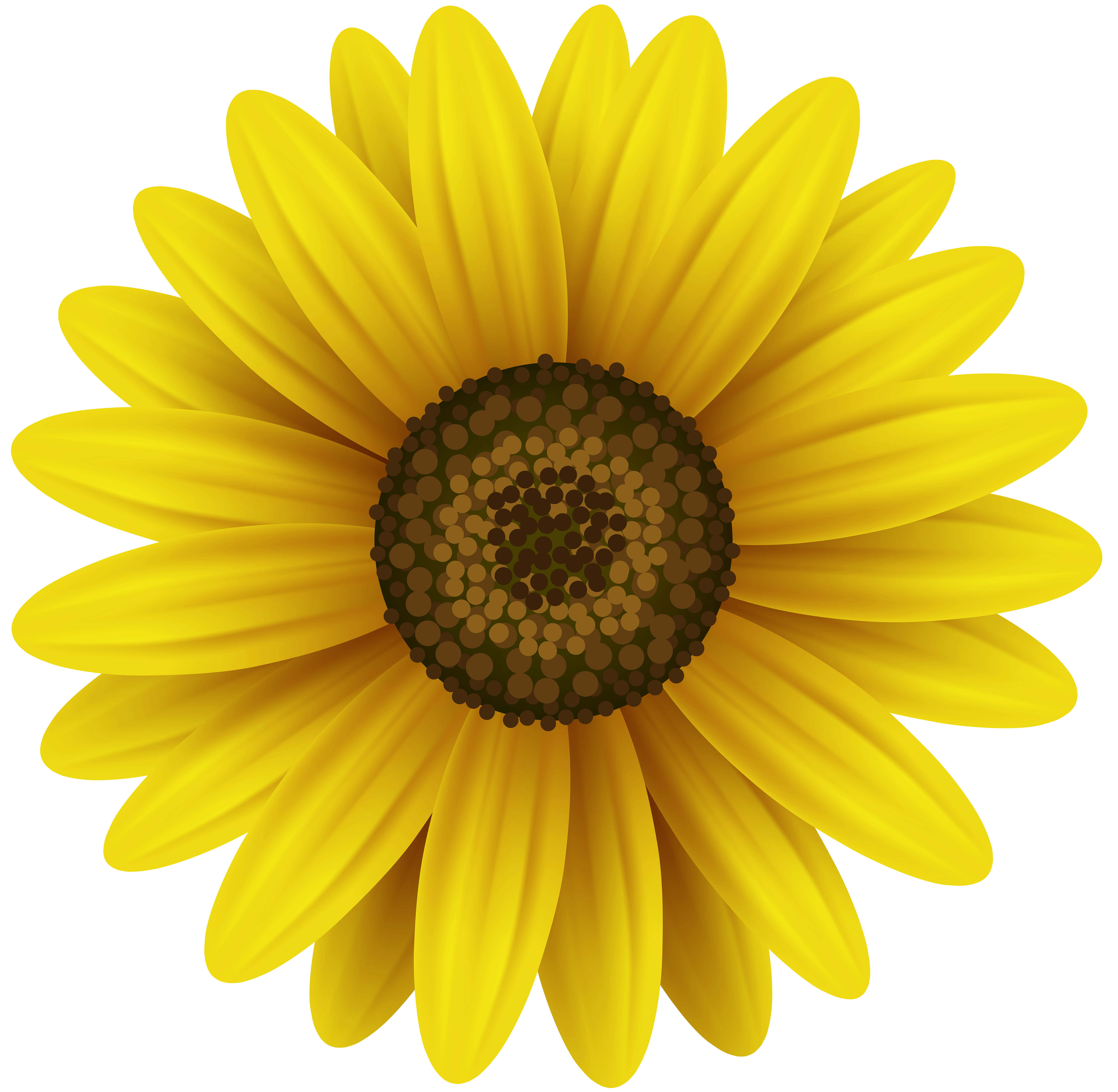 Flower Yellow Clip Art Image