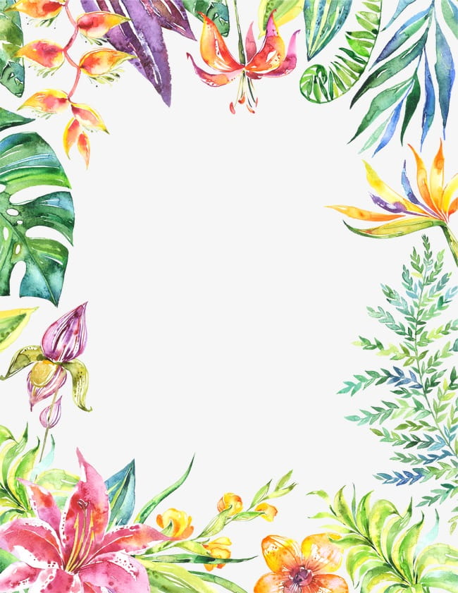 Colored flowers border PNG clipart