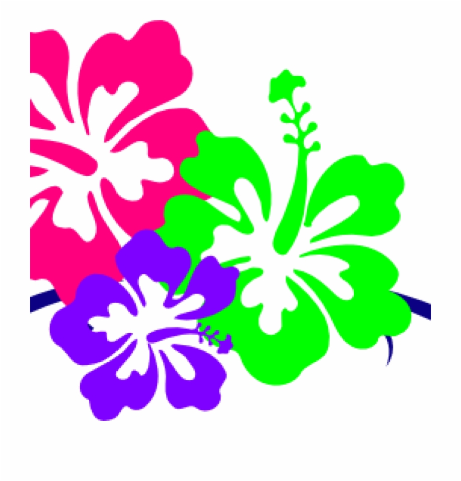 Hawaiian flower clipart.