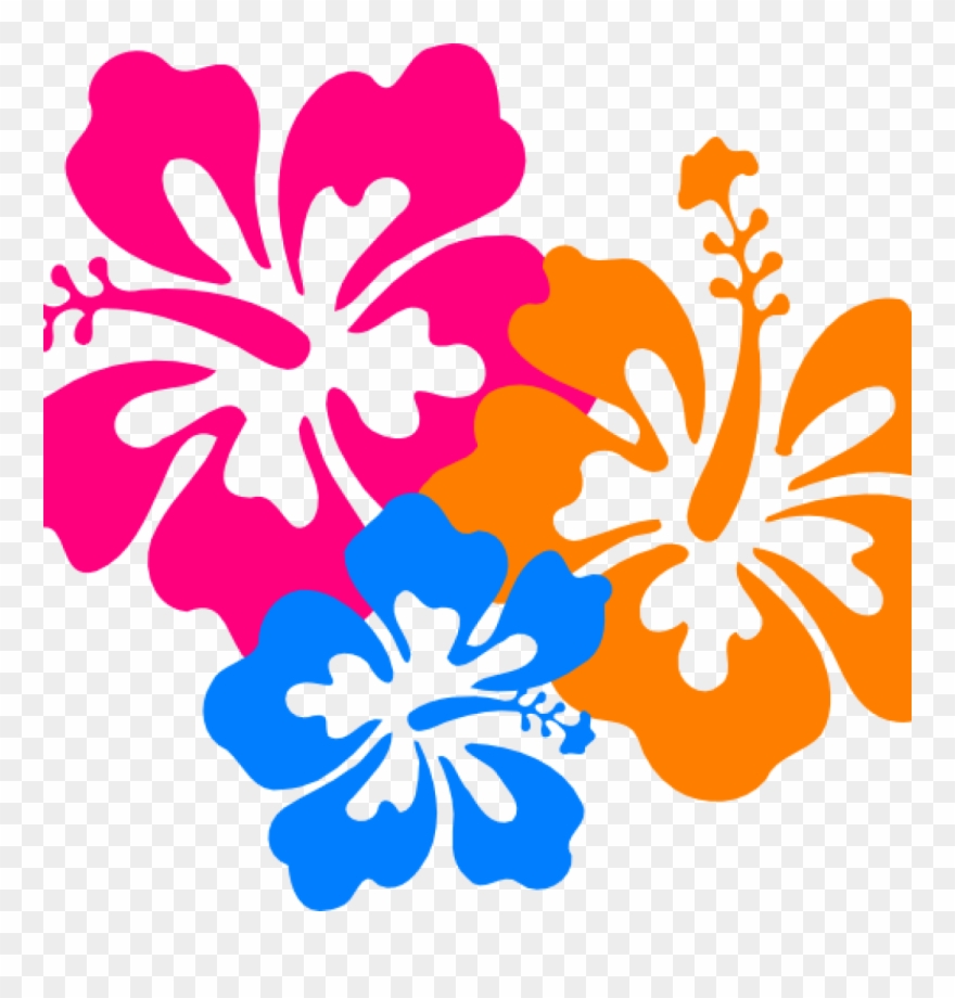 Hawaiian Border Clip Art Hawaiian Flower Clip Art Borders