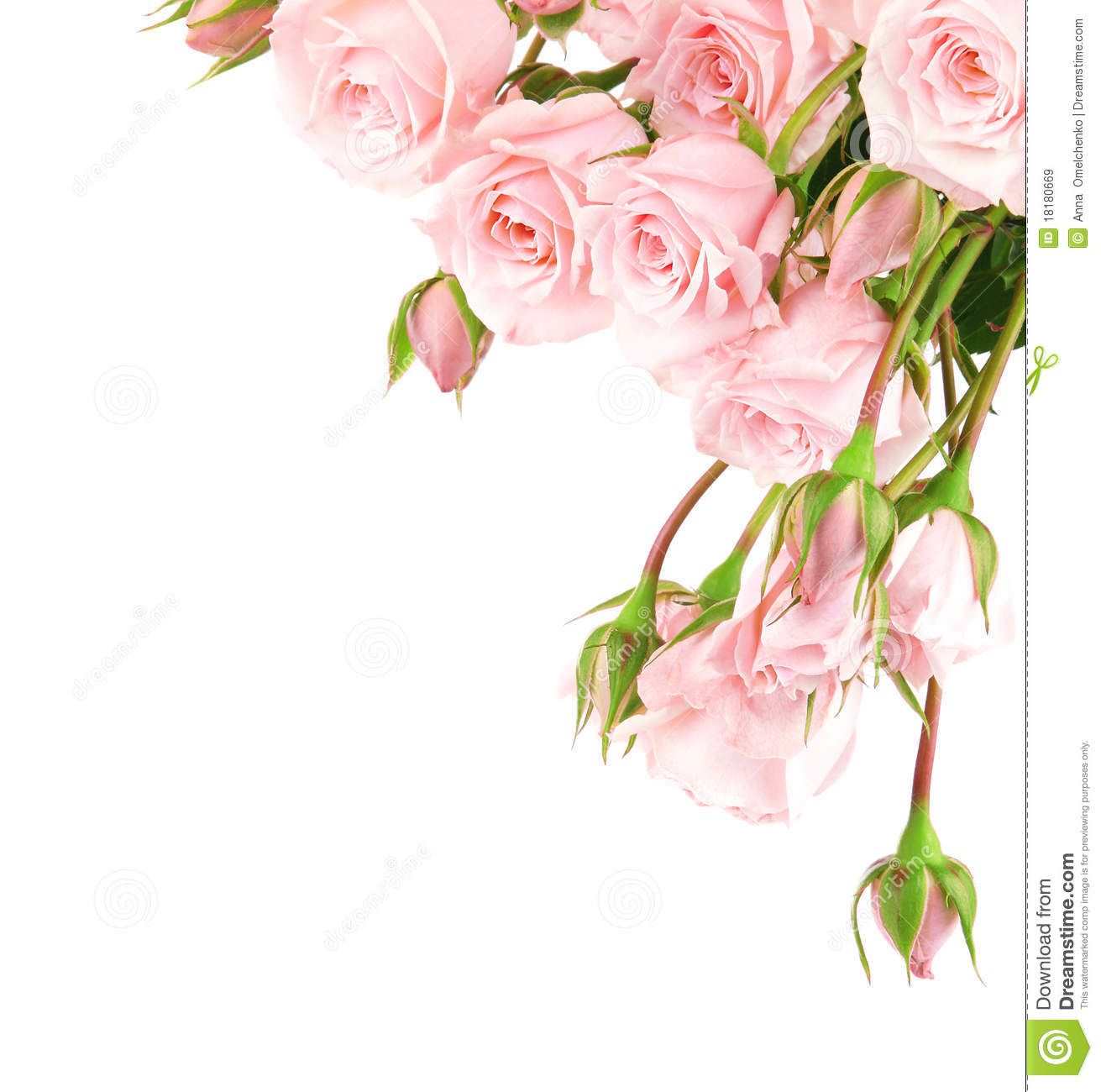clipart flowers border rose