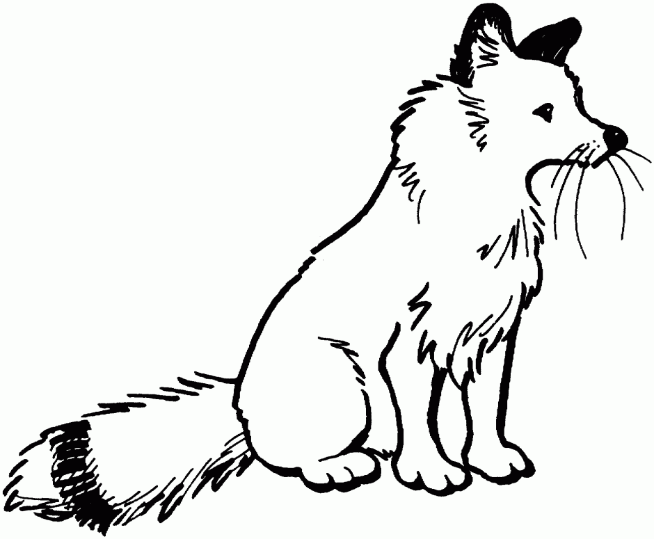 Free Fox Images Free, Download Free Clip Art, Free Clip Art
