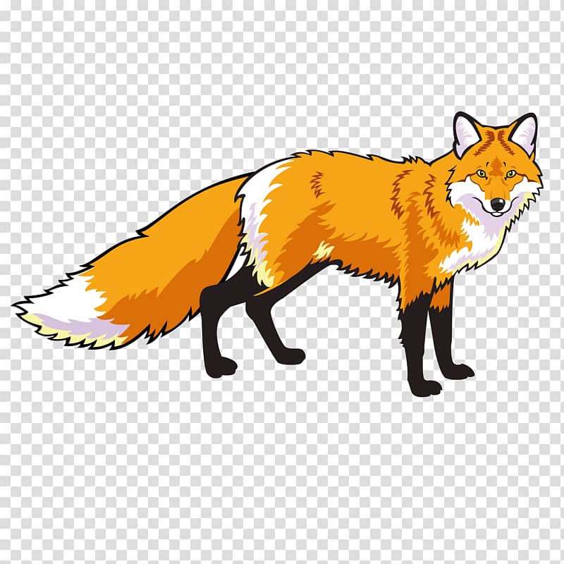 Red fox drawing.