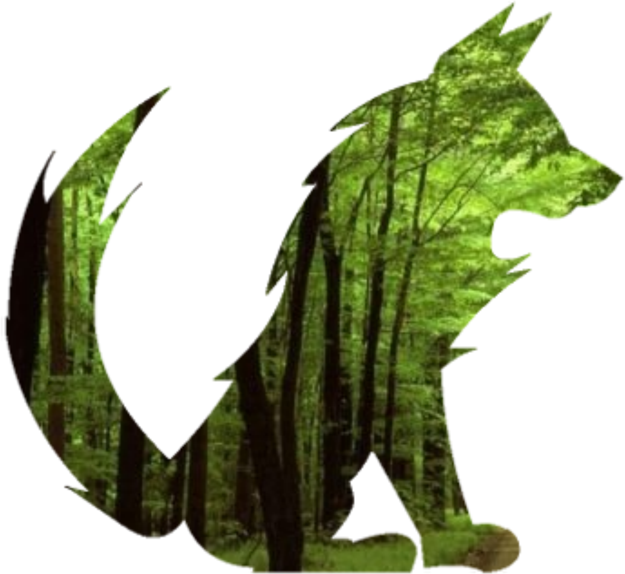 Green Forest Fox Vector Clipart image