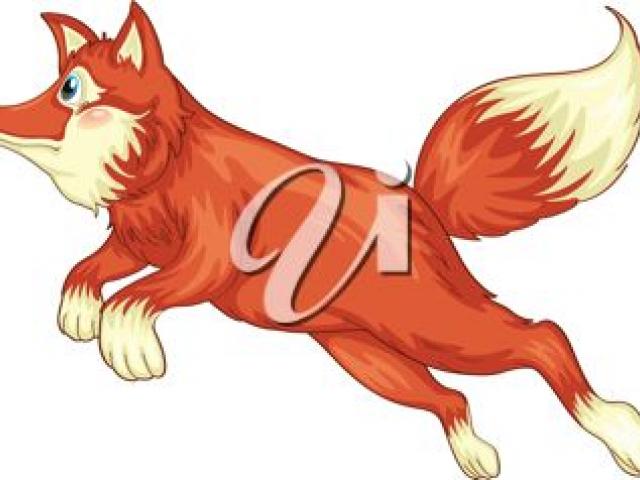 Free red fox.