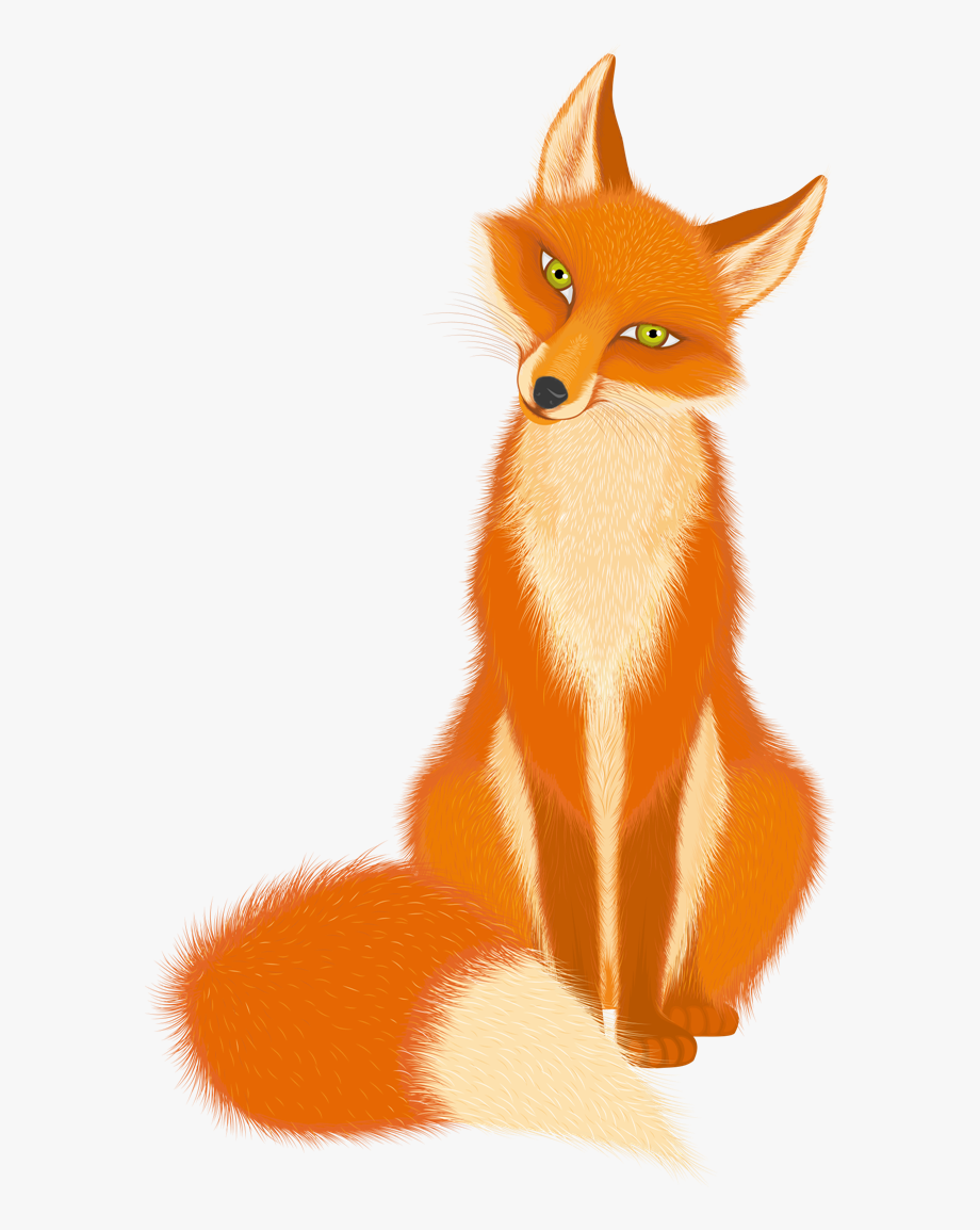 Fox clipart png.