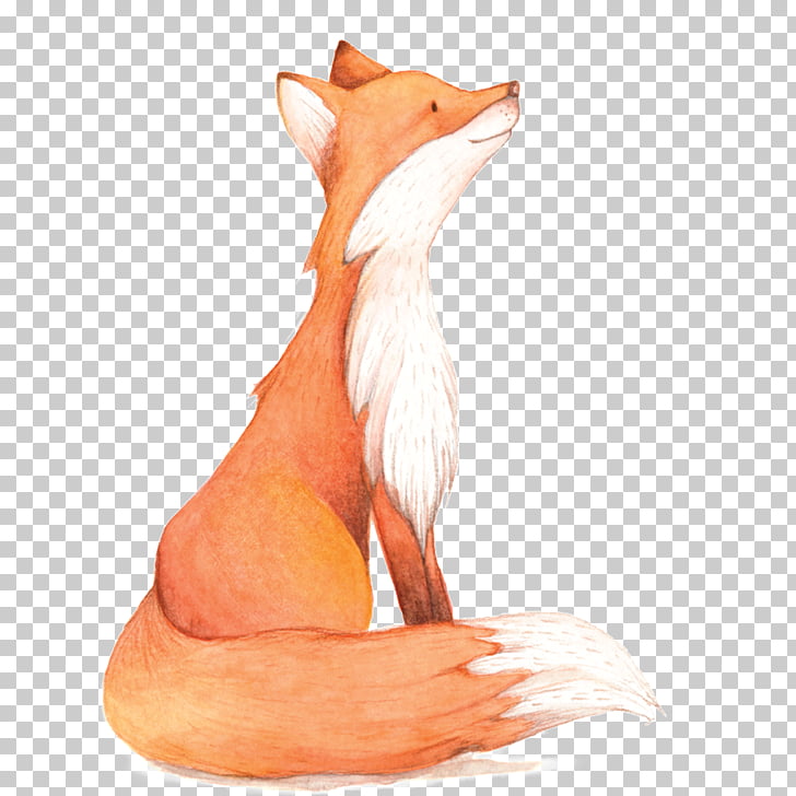 Watercolor painting Fox , Watercolor Fox, fox illustration