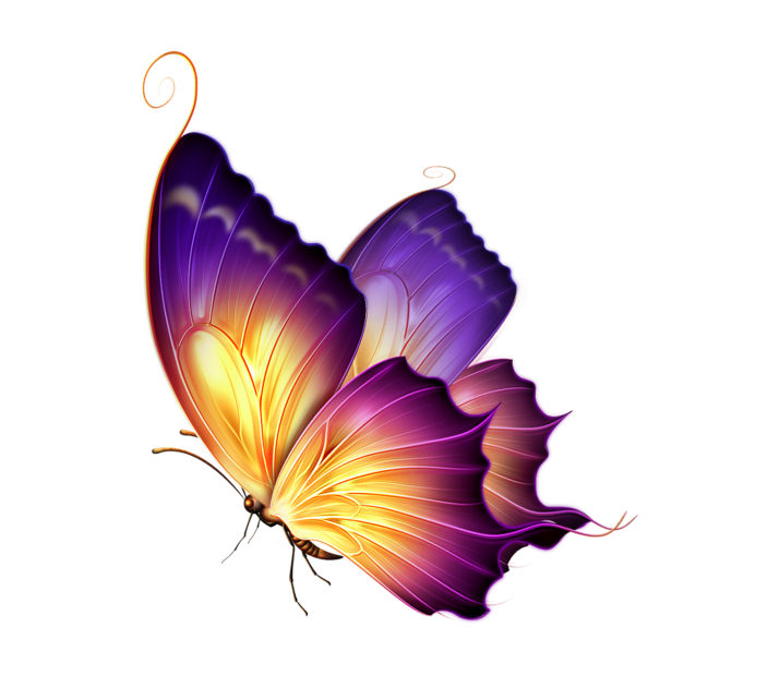 Butterfly Clipart PNG Image Free Download searchpng
