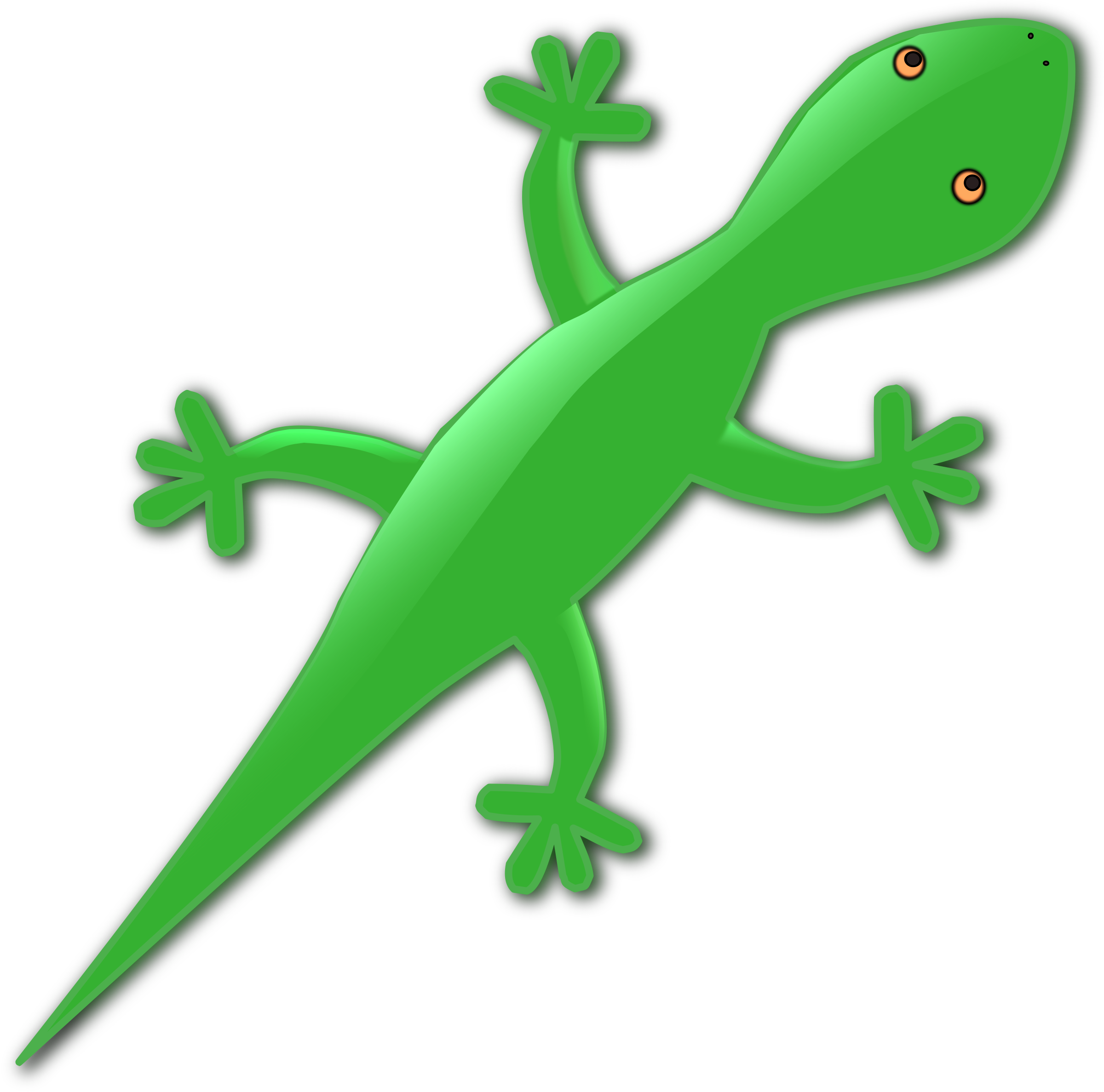 Green gecko lizard.