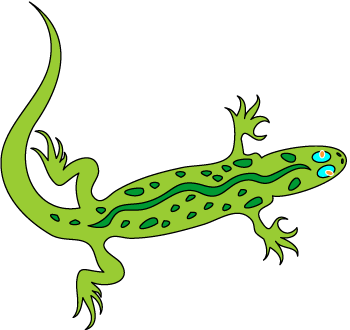 Free lizard images.