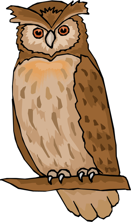 Black And White Library Owl Clipart