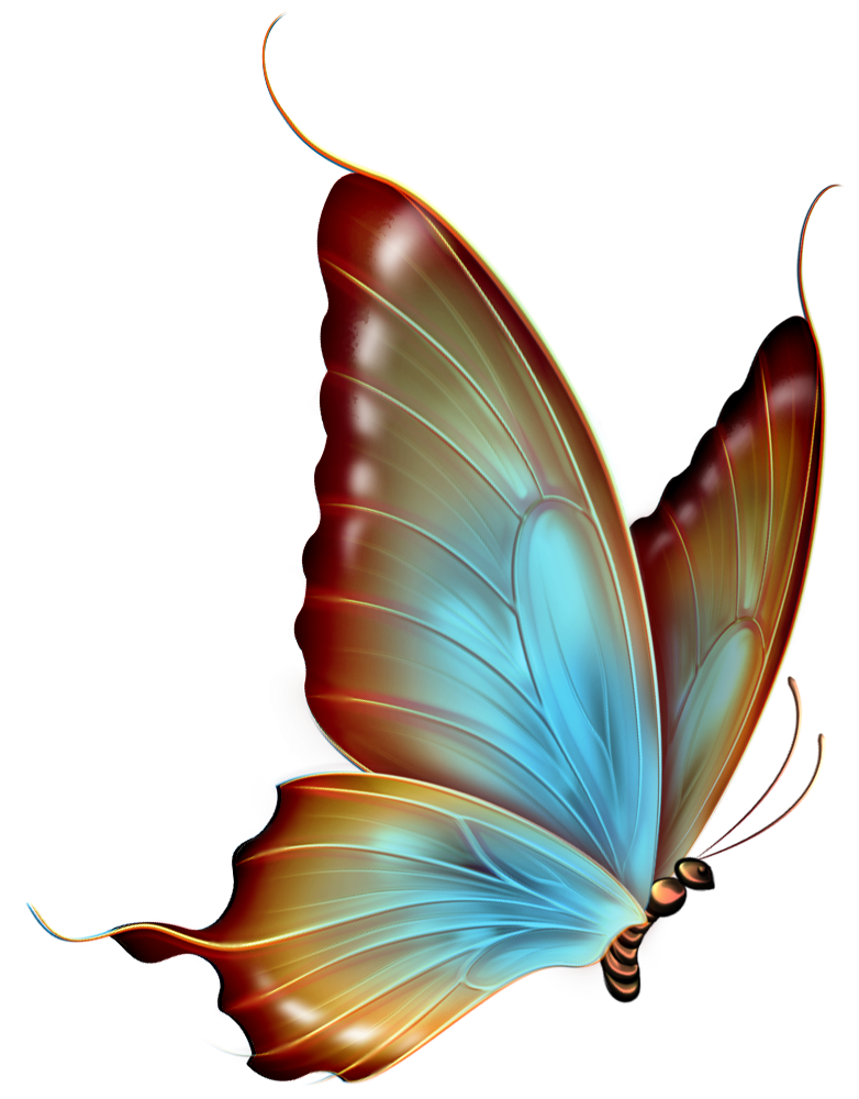 Transparent Butterfly Clipart