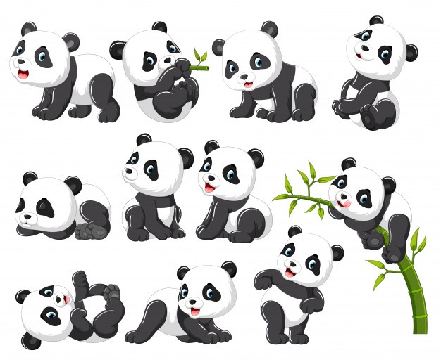 Panda vectors photos.