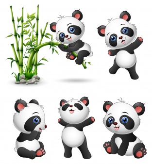 Panda vectors photos.