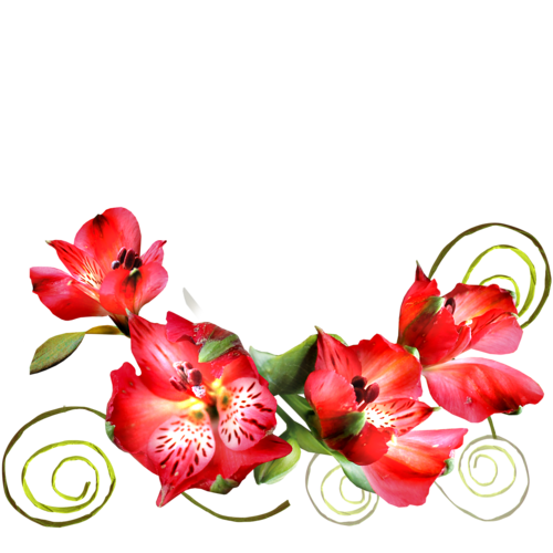 Clipart gratuit bordure fleurs