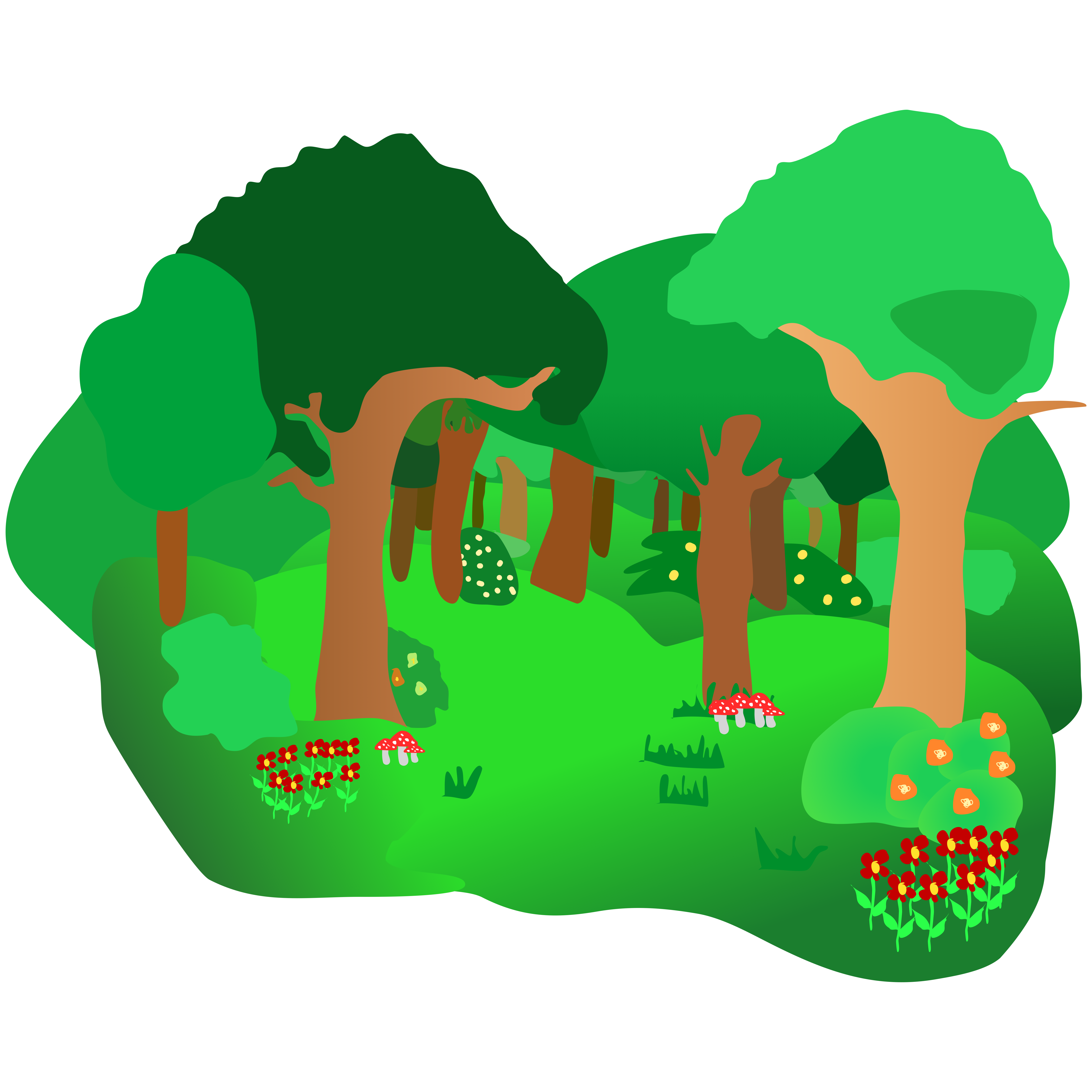 Forest image vector.