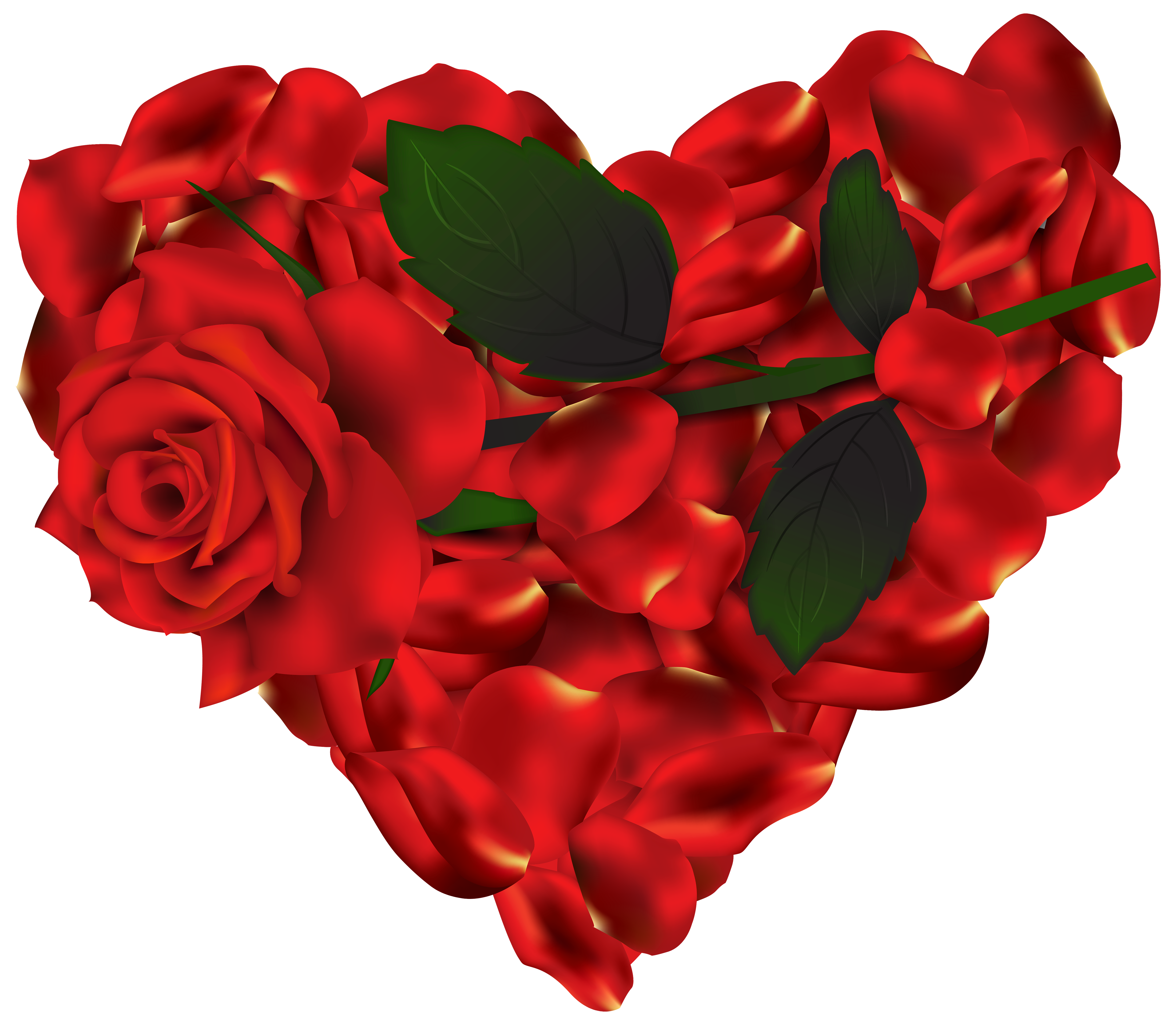Heart roses png.
