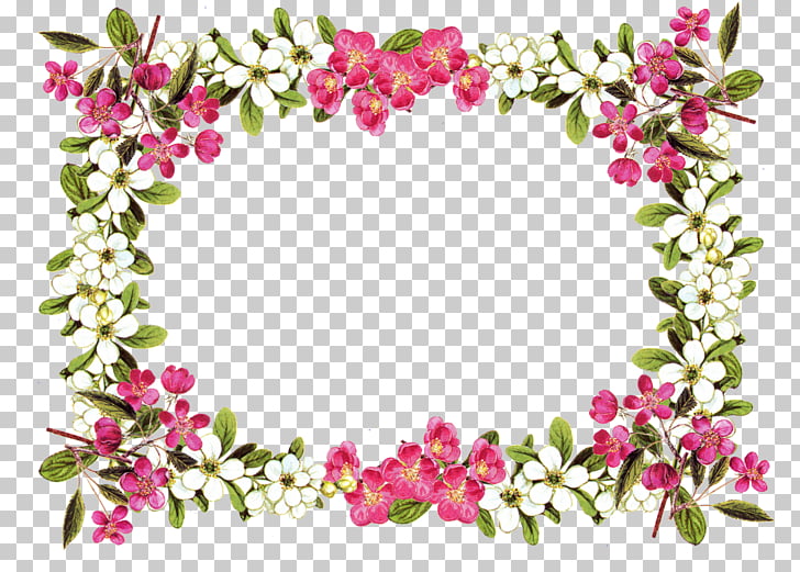 Flower Rose , Floral Frame , white and pink petaled flowers