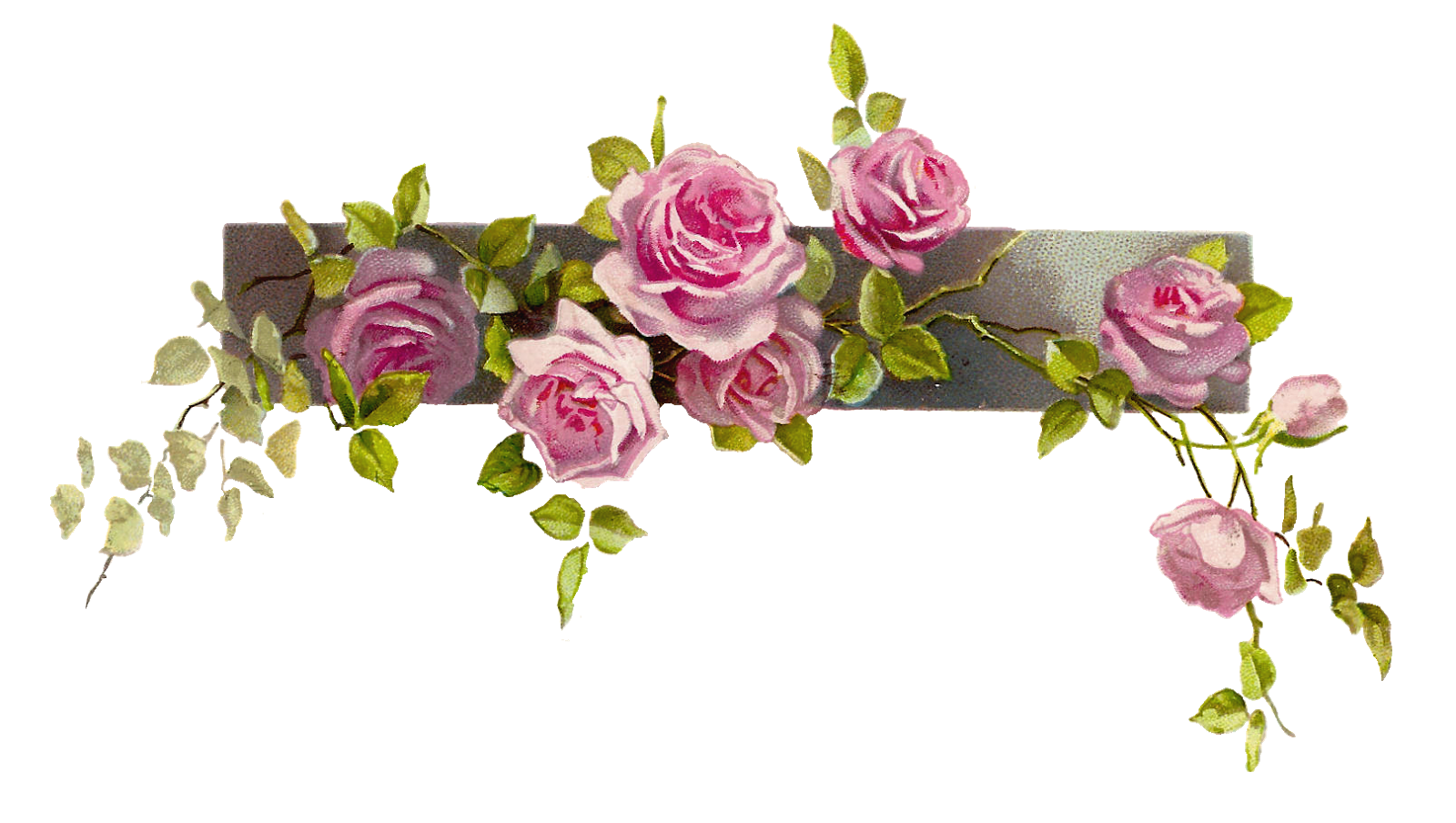 clipart images of flowers border line