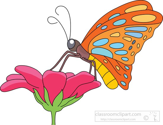 clipart images of flowers butterfly