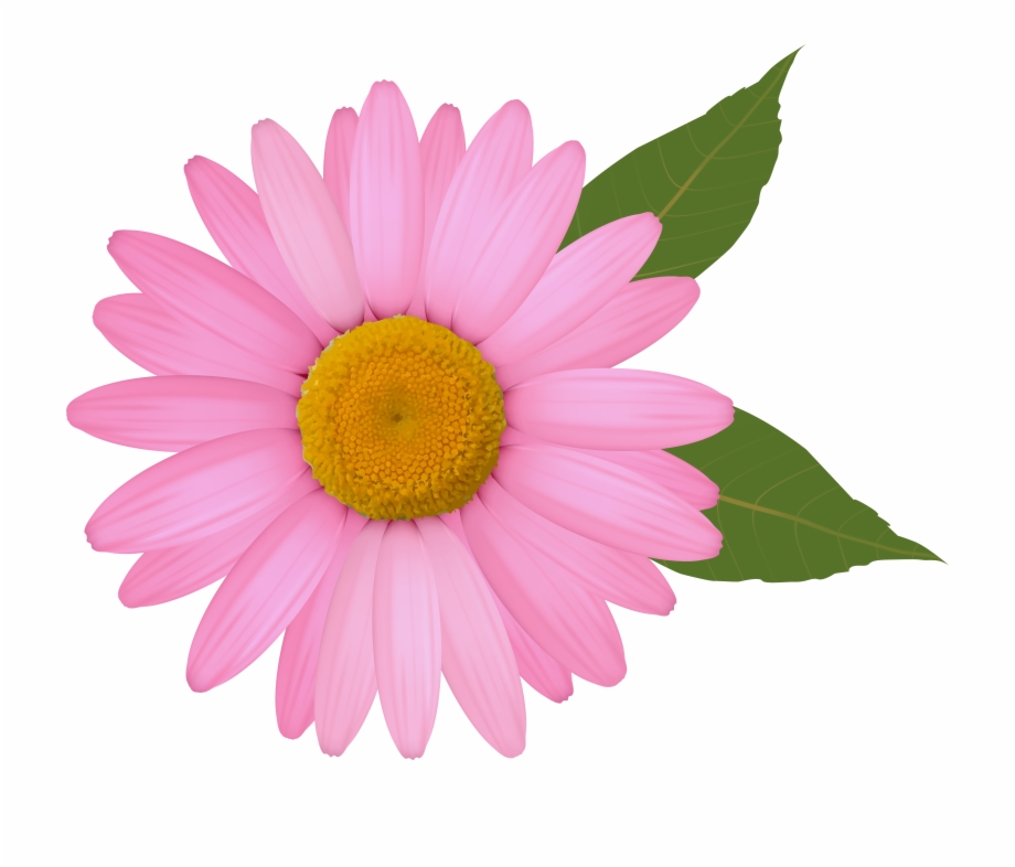 clipart images of flowers daisy