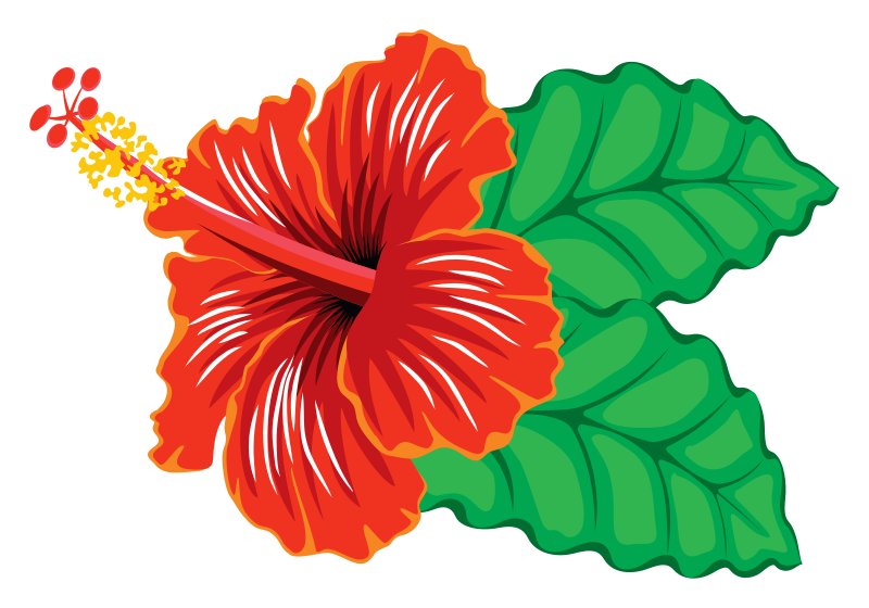 clipart images of flowers hibiscus