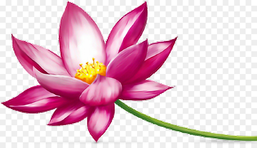 Clipart images of flowers lotus pictures on Cliparts Pub